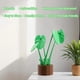 thumbnail image 4 of Monstera Plant - Coaster Set - 3D Printed - Leaves Attached, 4 of 5