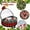 Red, variant on IOTdou Wreath Storage Container, Wreath Storage Bag, 24 Inch Diameter Round Wreath Holder with Handle, Zipper Wreath Storage Box for Home, Christmas Storage Containers, Wreath Bags