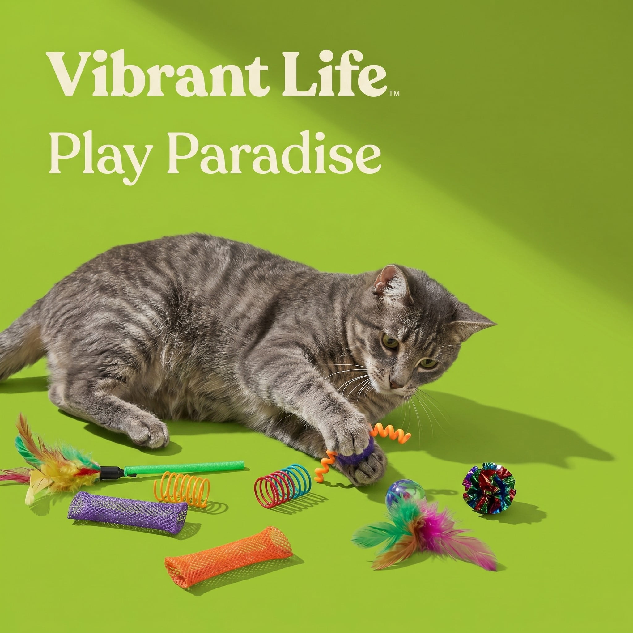 Vibrant Life Value Pack Cat Toys, 24 Pieces