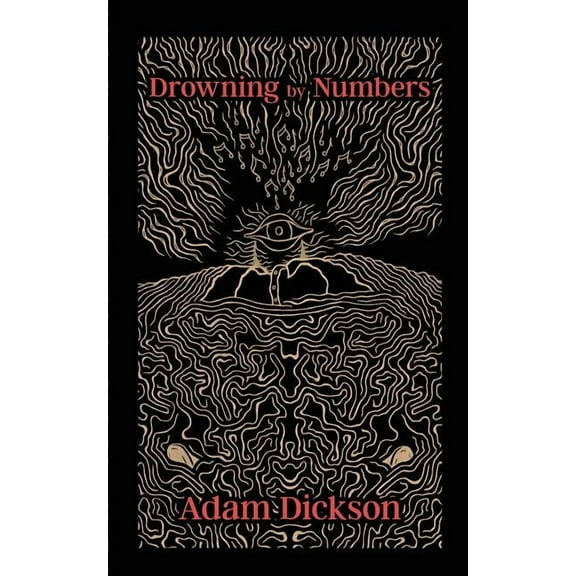 Drowning by Numbers, (Paperback)