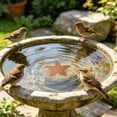 thumbnail image 1 of Bird Bath Plate Decorative Purification Plate with Support Points Natural All Weather Water Suitable for Outdoor Bird Bath Tubs and Bowls Multiple Choices, 1 of 4