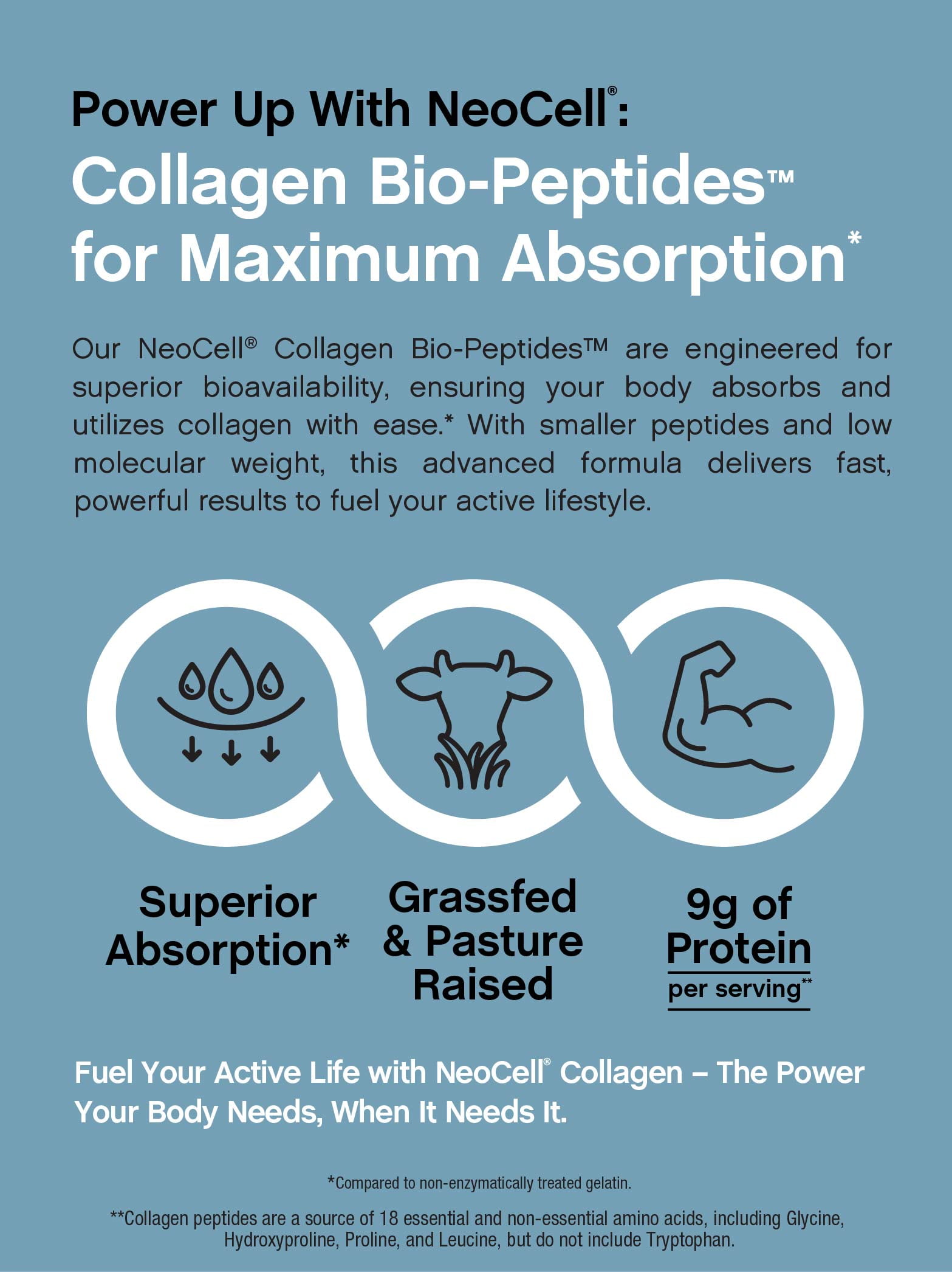 Collagen Bio-Peptides Powder | 10oz | Grassfed Protein Supplement | by NeoCell
