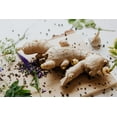 thumbnail image 6 of Greenhouse PCA Green Fresh Culinary Ginger Root Live Plant, 6 of 8