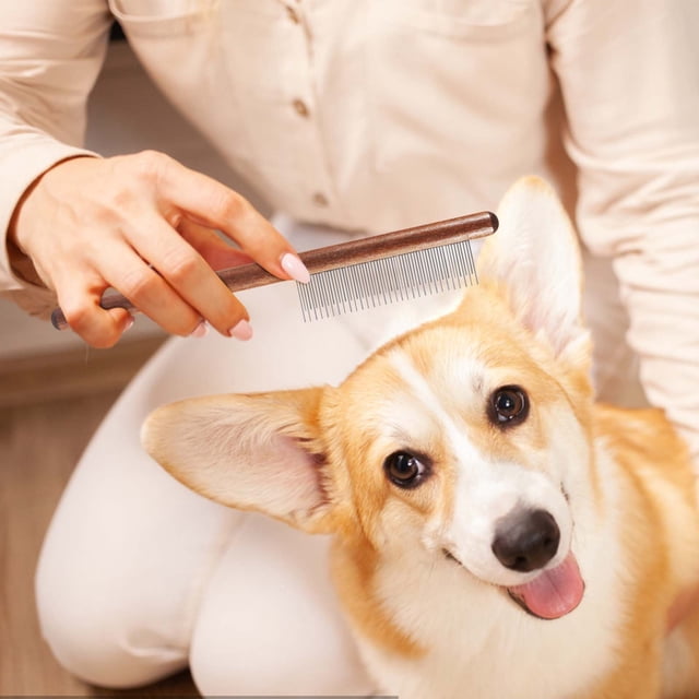 EGNMCR Pet Combs Comb Hair Shedding Dog Open Knot Flea Comb Encryption Steel Pin Comb Pet Comb a comb