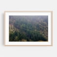 thumbnail image 2 of Not Zip Lines - Rainier Oregon Photography Forest Nature Woodland Foggy Scenic Wilderness Landscape Unframed Wall Art Print 32 x 48 inches, 2 of 7