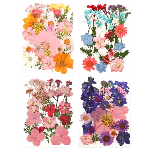 100Pcs Pressed Dried Flowers Set Real Natural Dry Pressed Flower with Leaf for Resin Scrapbooking Jewelry Making DIY Craft and Home Decor,4 Sheets