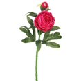 thumbnail image 1 of Vickerman FA174801 Peony X2 Floral Stem  Hot Pink, 1 of 3