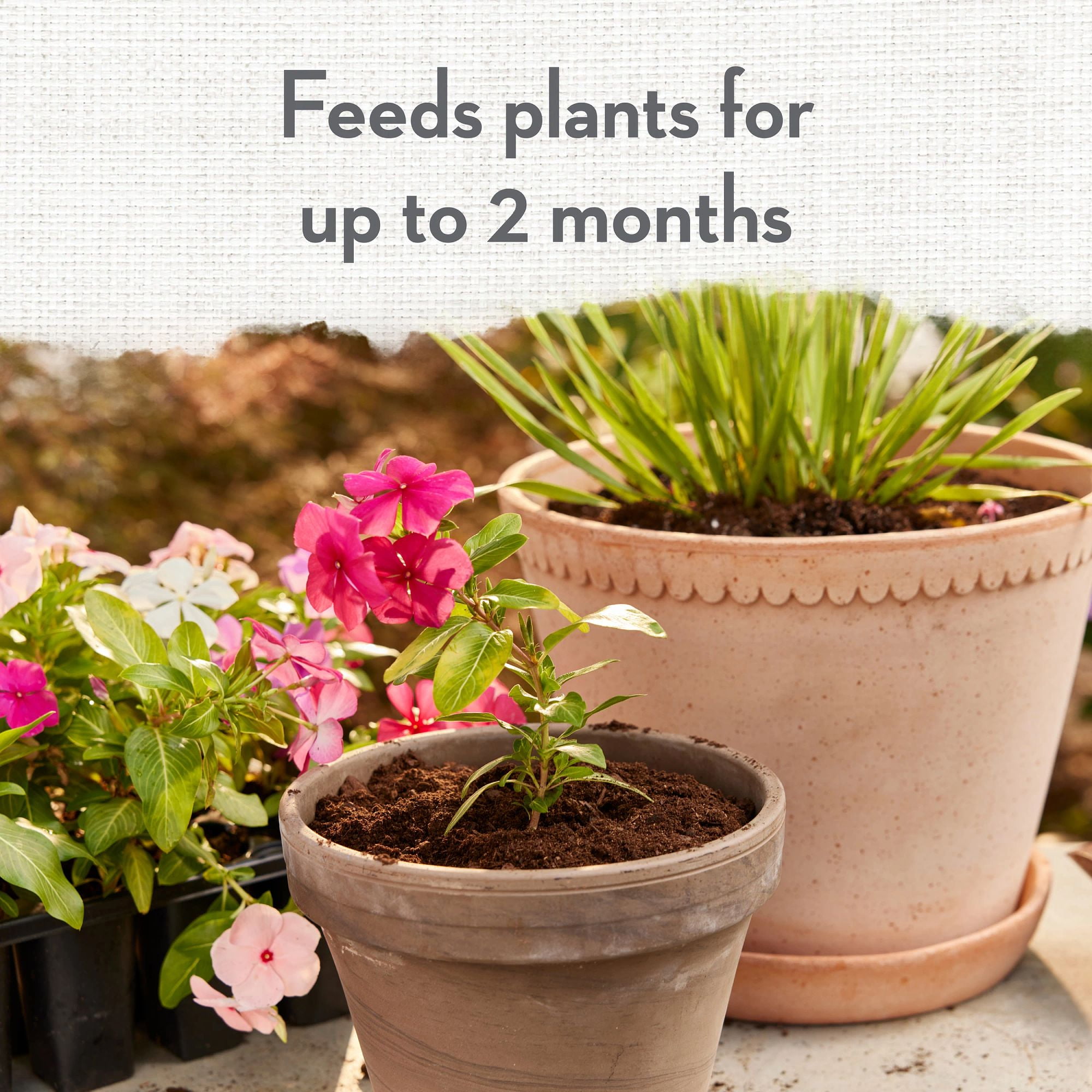 Whitney Farms Organic Potting Soil, 16 Dry qt