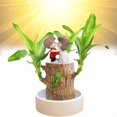 thumbnail image 5 of Brazilian Lucky tree,with base and mystery doll decorations, easy to plant in the home office to attracts wealth and wealth,lucky wood,Fortune tree ,Gift Ornaments Light, 5 of 7