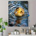 thumbnail image 4 of Cute Swimming Duckling Animal Canvas Print Nursery Home Decor, 4 of 8