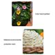 thumbnail image 5 of Hanging Outdoor Bird House Crafted Resin Bird Feeder and Bird Houses for Courtyard Patio Garden Decoration, 5 of 5