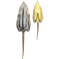 Lunkerhunt Furenzy Mouse Topwater Fishing Bait, 2.5 inch, Chipmunk Brown