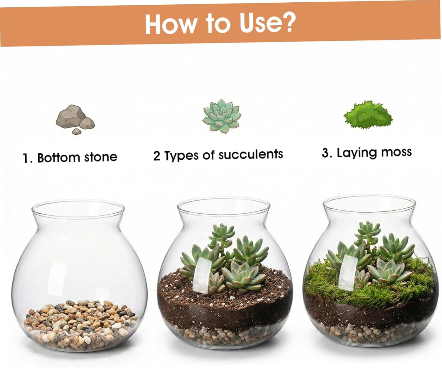 Terrarium Jar - 1800ml Closed Terrarium Container with Cork Lid for Succulents, Air Plants, Moss - High Borosilicate Glass Hydroponic Planter & Decorative Vase Glass Containers