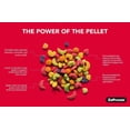 thumbnail image 3 of Zupreem FruitBlend Saveur Nourriture Pour Très Petits Oiseaux, 3 of 3