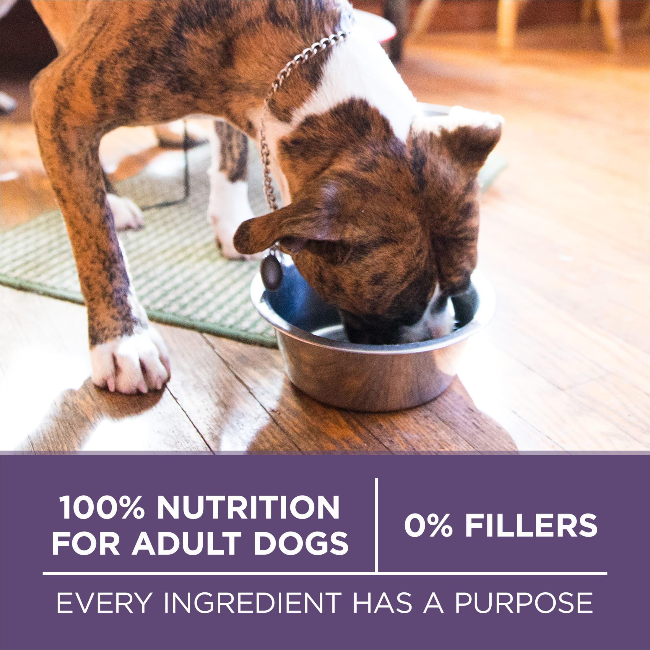 Purina One +Dry Dog Food for Senior Dogs Vibrant Maturity Adult 7 Plus, Real Chicken, 16.5 lb Bag