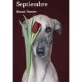 thumbnail image 1 of Septiembre Libros del Marqués 9786078713714, 1 of 2