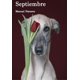 thumbnail image 1 of Septiembre Libros del Marqués 9786078713714, 1 of 2