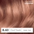 thumbnail image 3 of Tinte para el cabello Clairol ColorStrong Permanent Zero Ammonia 8.63, 3 of 9