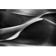 thumbnail image 2 of Al Adwan, Rami 32x23 Black Ornate Wood Framed with Double Matting Museum Art Print Titled - Curvatures, 2 of 4