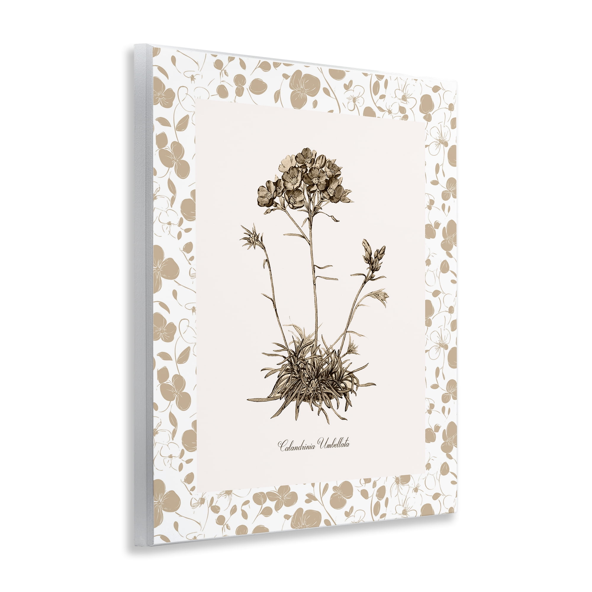 Stupell Industries Neutral Imperial Flower & Herb Wall Plaque Art, design by Kelly Donovan