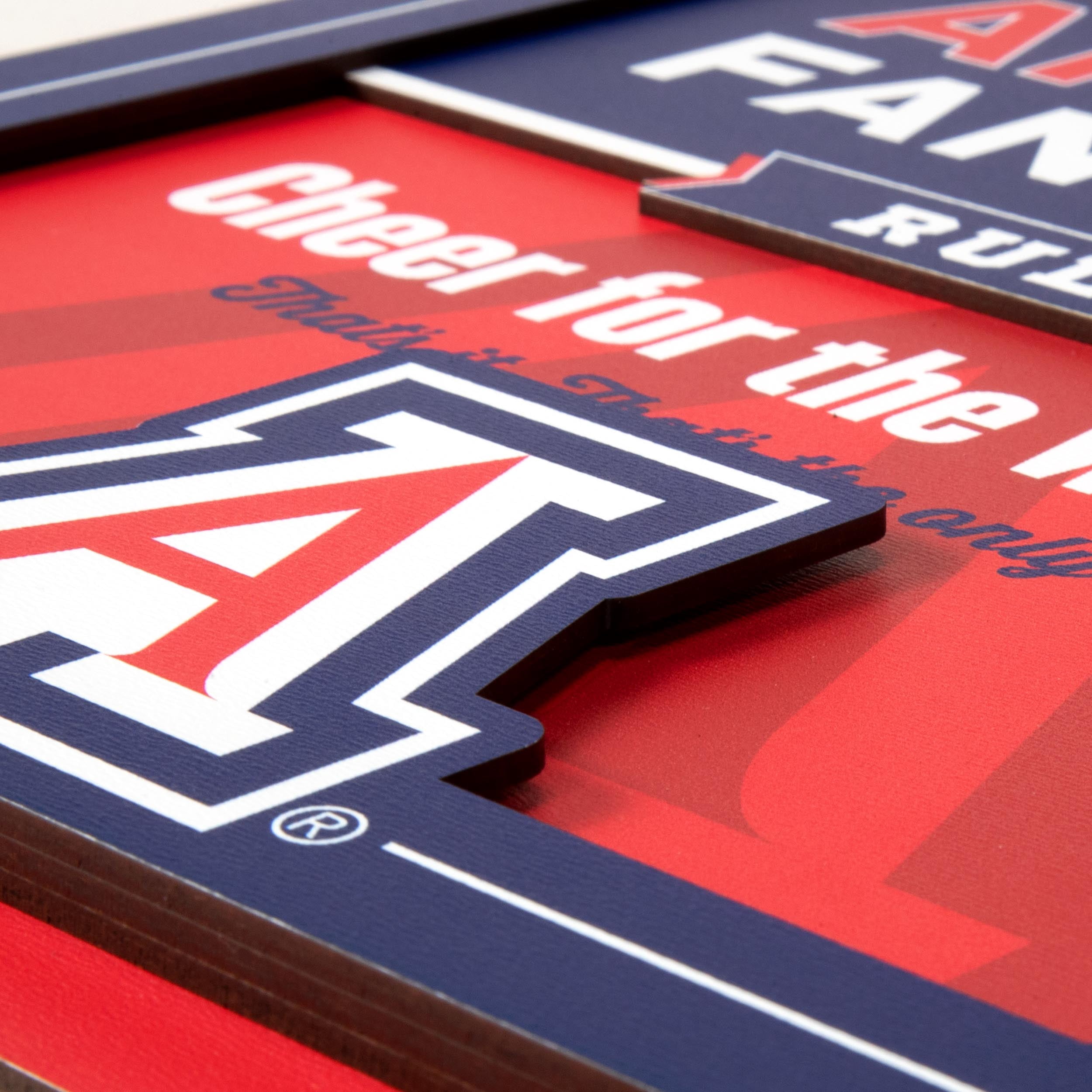 YouTheFan NCAA Arizona Wildcats Fan Rules 3D Wall Art
