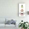 thumbnail image 3 of Trademark Fine Art 'Moth Fairies II' Canvas Art by Grace Popp, 3 of 3