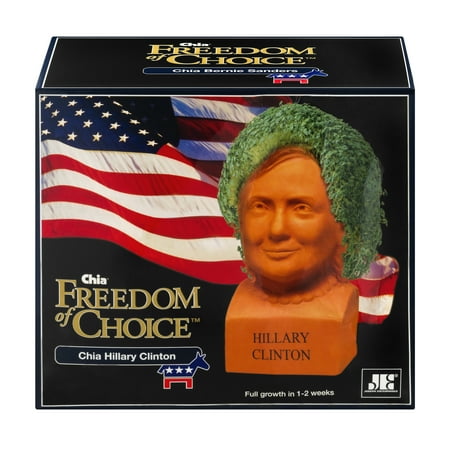 As Seen on TV Chia Pet, Hillary Clinton