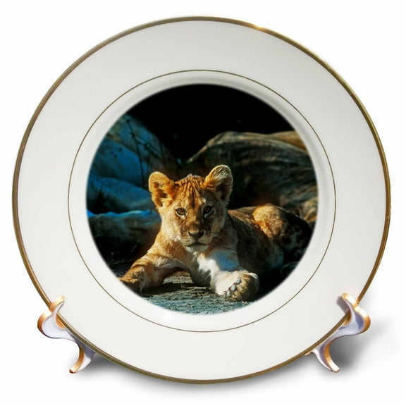 3dRose, African Lion, Panthera leo, Cub Resting with its Family, 8 inch Porcelain Plate