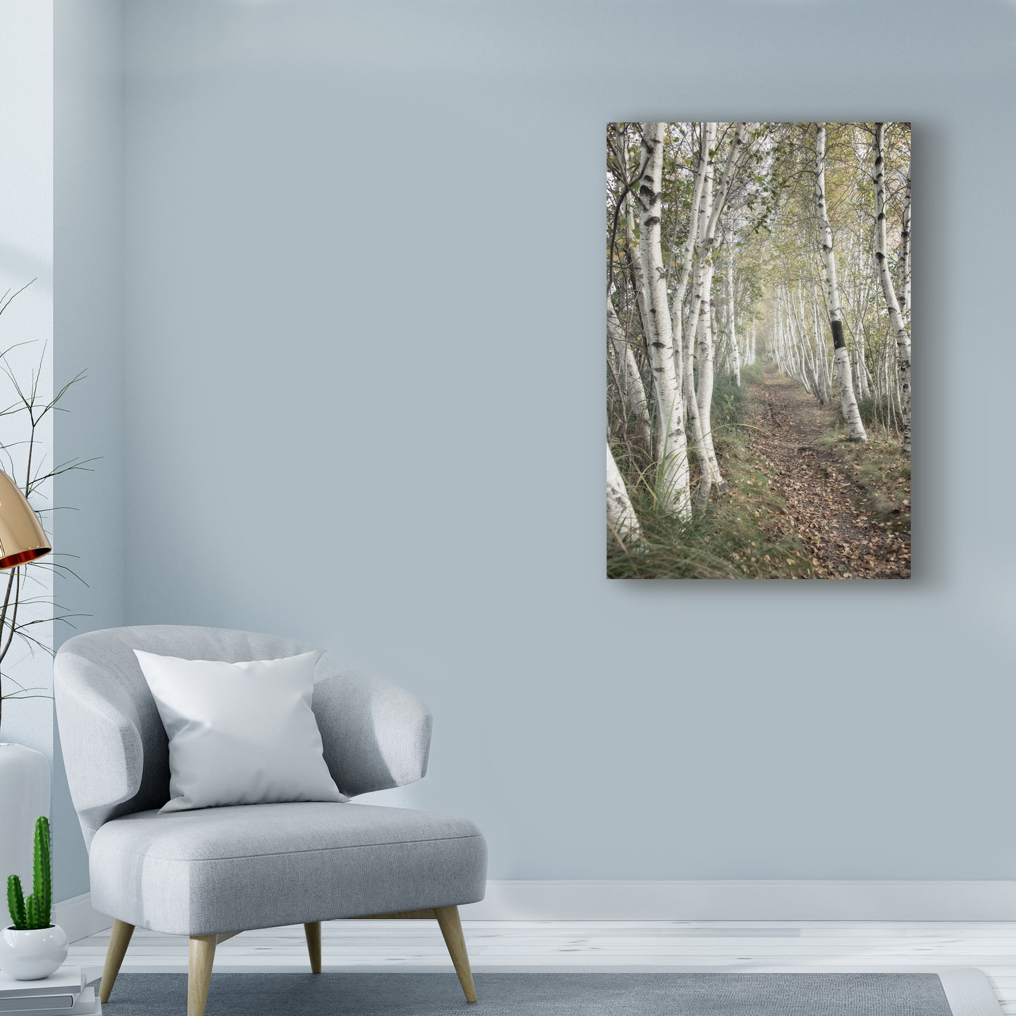 Trademark Fine Art 'Birch Trail' Canvas Art by Natalie Mikaels