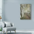 thumbnail image 3 of Trademark Fine Art 'Birch Trail' Canvas Art by Natalie Mikaels, 3 of 3