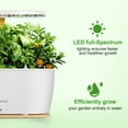 thumbnail image 5 of Linkstyle Hydroponics Growing System, Smart Herb Garden Kit Indoor, Indoor Garden, APP & WiFi Controlled, with Growing LED Light, Gardening Gifts, 5 of 11