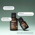thumbnail image 3 of Cliganic Organic Tea Tree Essential Oil, 100% Pure Natural, for Aromatherapy | Non-GMO Verified, 3 of 9
