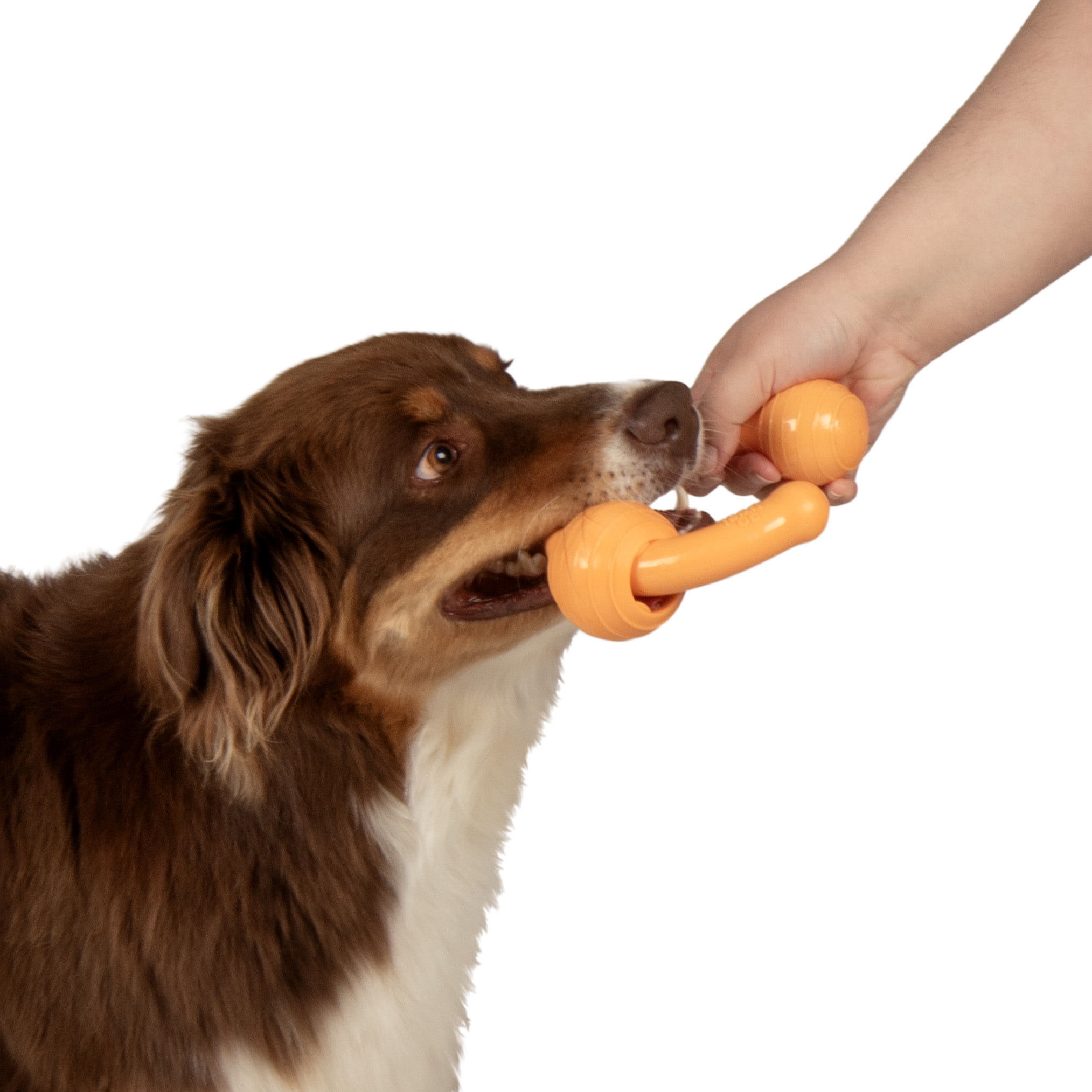 goDog Looper Puzzle Dog Toy, Orange, One Size