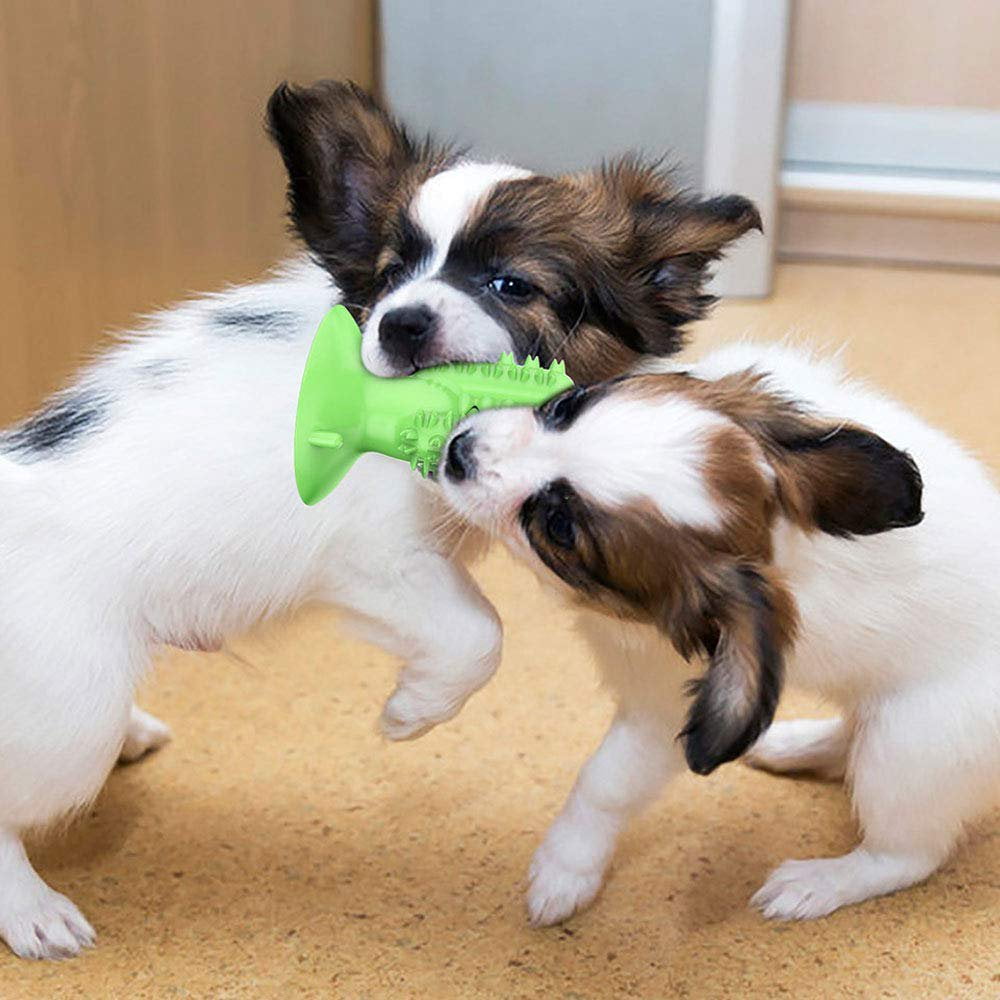 Doggy brushing stick sales