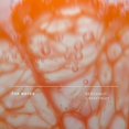thumbnail image 4 of Perfume Future Society Reclaimed Flame Eau de Parfum, 9,5 ml, 4 of 6