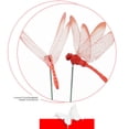 thumbnail image 5 of qolami 15Pcs Dragonfly Clip, Plastics Dragon Fly Garden Stakes Outdoor Fake Dragonflies Rod Clip for Hat, 3D Realistic Garden Stakes Decor for Patio Yard, 5 of 6