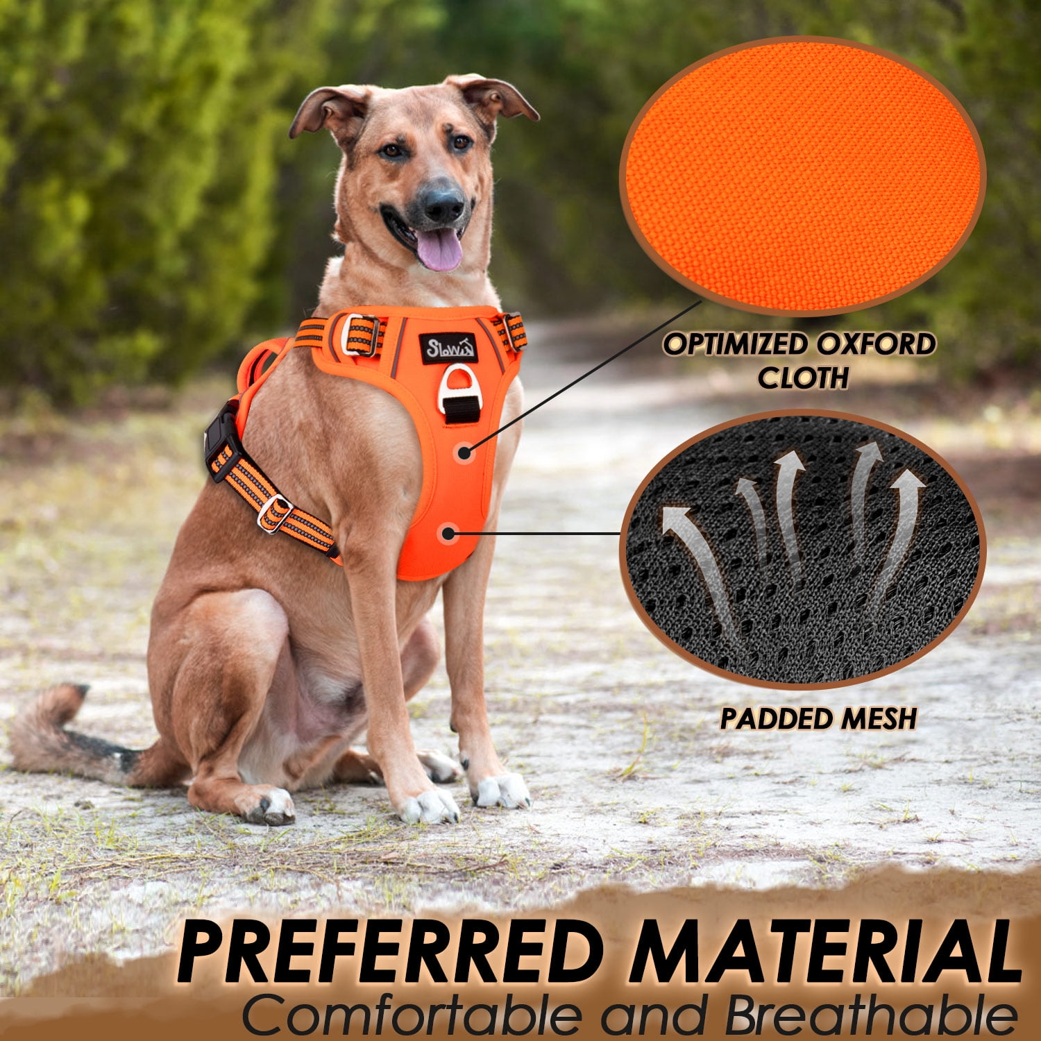 AUTOWT No Pull Dog Harness - Heavy Duty, No Choke Design with 2 Leash Clips & Adjustable Padded Vest
