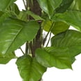 thumbnail image 3 of Nearly Natural 6583 52 Po. Grande Feuille Philodendron Plante en Soie-Toucher Réel, 3 of 4