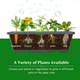 thumbnail image 4 of WEGFTDUOP 5-Tier Vertical Raised Garden Bed with 5 Planter Boxes - Freestanding Metal Planter for Vegetables, Herbs & Flowers Seeds Patio Balcony Greenhouse, 4 of 7