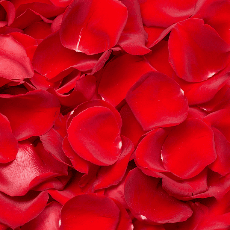 3500 Red Rose Petals- Fresh Flower Delivery