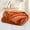 Rust, variant on Moonlight20015 Fleece Blanket, Soft Microplush, Lightweight, Thick And Warm Cozy Comforter, Twin (60x80) Rust