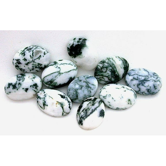 TWO 18x13 18mm x 13mm Oval Tree Agate Cab Cabochon Gem Gemstone TAC9