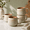 Sage Ash-16 Oz, variant on Small Stoneware Ceramic Coffee Mugs Set Of 4-6 Oz - Rose Sand