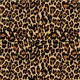 thumbnail image 2 of Leopardo Funda Nórdica, Animal Print Guepardo Queen Full Twin Microfibra Único, 2 of 3