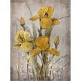 thumbnail image 2 of Art.com Golden Irises II Stretched Canvas Print Wall Art by Tim O'toole, 18" x 24", 2 of 4