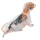 thumbnail image 1 of PU transparente borde naranja mascota impermeable impermeable con capucha capa de lluvia chaqueta ropa para perros gatos, 1 of 8