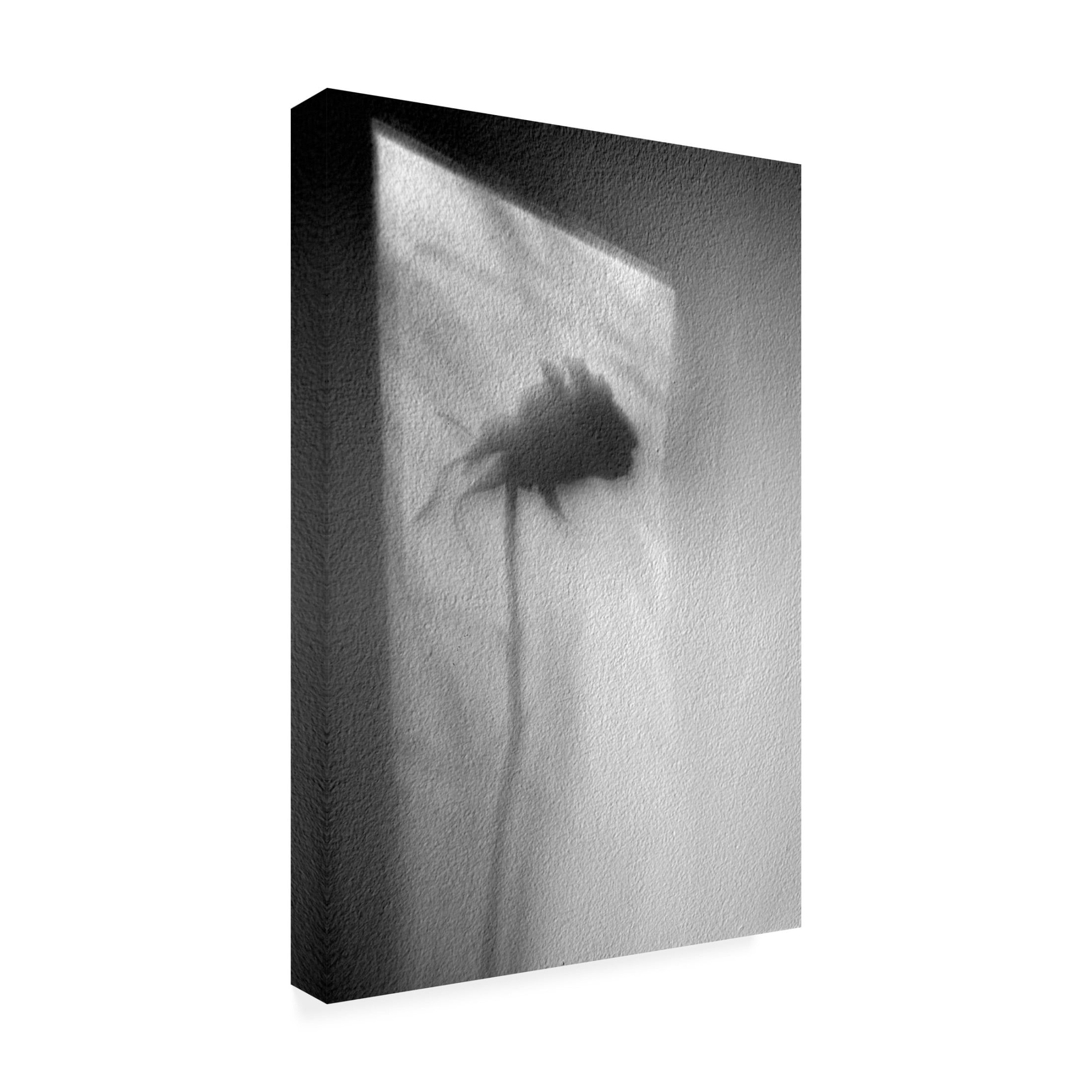 Canvas Wall Art - Marta Walla 'Rose' Wall Art for Living Room, Bedroom, or Office Décor by Trademark Fine Art - 16 x 24 Inches
