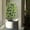 Yellow, variant on Zenithome Artificial Cedar Topiary Trees for Outdoors 22.05 Inch Realistic Faux Plants with Ground Spike for Garden Patio Porch Decor Easy Assembly No Maintenance