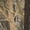 Mossy Oak Shadow Grass Habitat, variant on Drake Men's MST Synthetic Down Pack Jacket Green Timber Medium