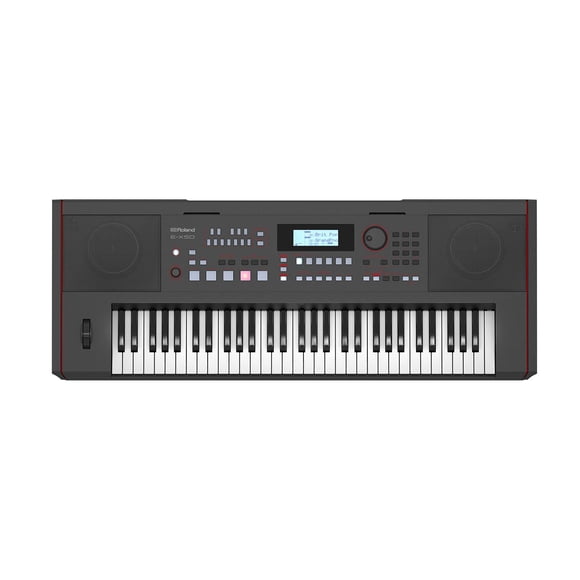 ROLAND Teclado Arranger de 61 Teclas E-X50 ROLAND negro 104.8X14.1X46.1